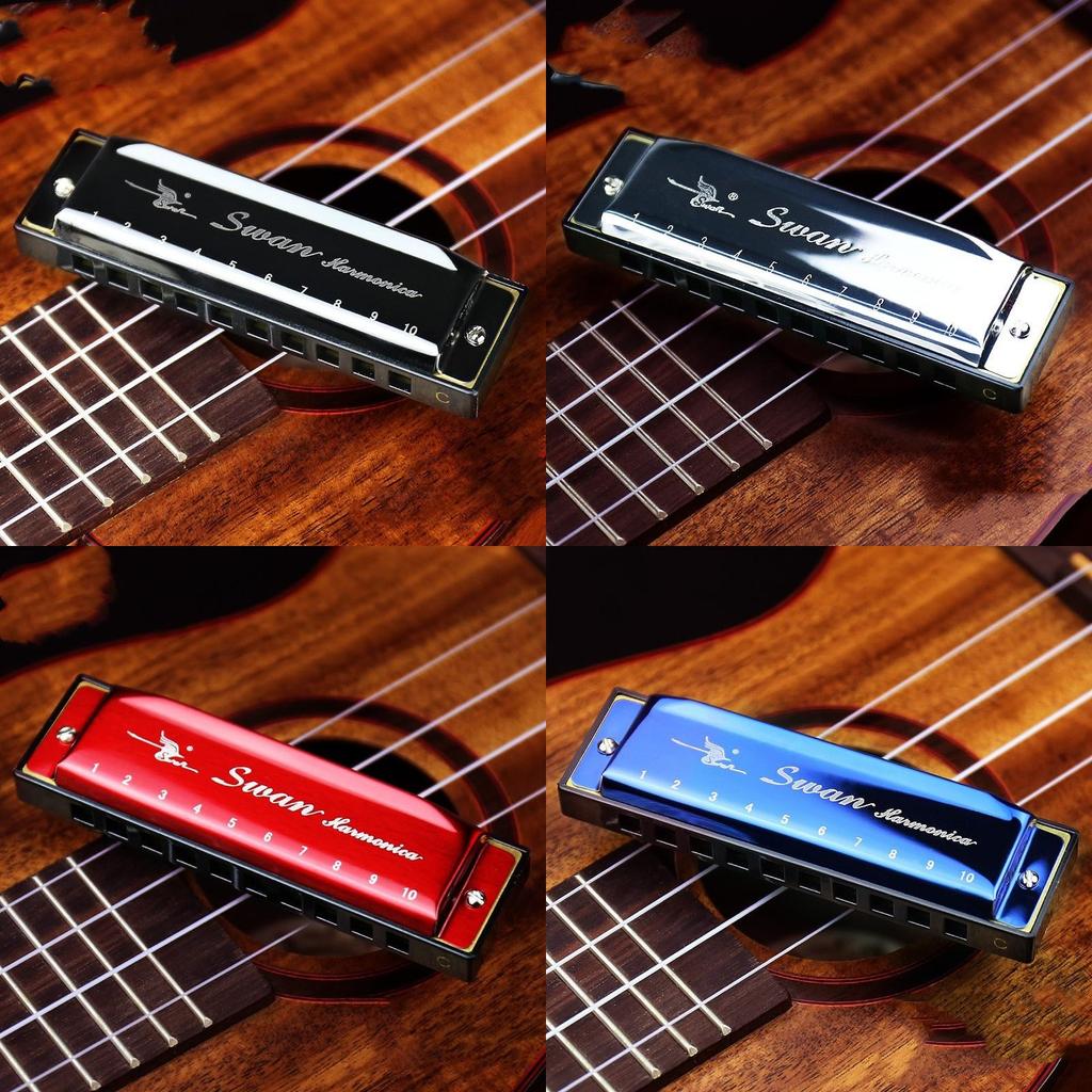 Swan Harmonica 24 Hole Beginner Music Instrument With Silver Cover For Students And Adults