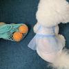 Soft Tulle Pet Princess Dress Breathable Mesh Cat Vest Dress Cute Cat Clothing  Dogs Cats