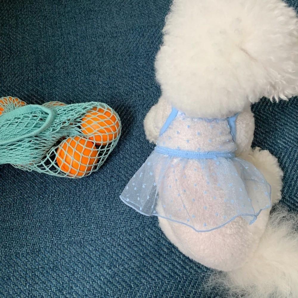 Soft Tulle Pet Princess Dress Breathable Mesh Cat Vest Dress Cute Cat Clothing Dogs Cats