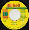 7inch Record YASUS AFARI  Crown Him NONE DigitalB 1995 Jamaica Reggae Ska  Dub Used