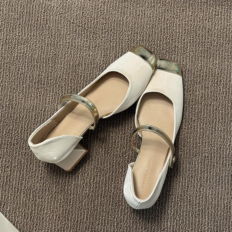 Skirt High-heeled Sandals with Thick Heel Fashion Small Single Shoes Mary Jane Shoes Women's New Models