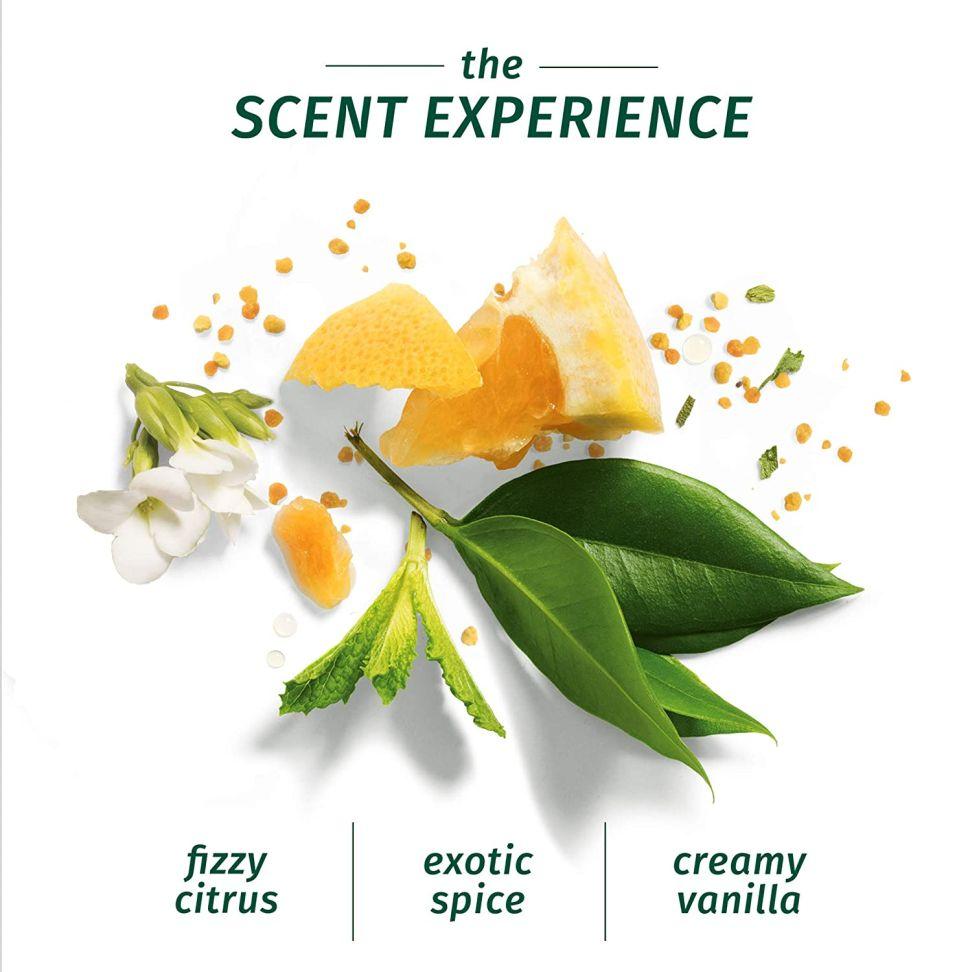 Herbal Essences Bio:renew Argan Oil of Morocco CONDITIONER, 400ml & Herbal Essences Bio:renew Argan Oil of Morocco SHAMPOO, 400ml