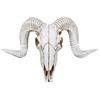A84X-3X Creative Resin Sheep Head Skull Head Wall Hanging 3D Animal Longhorn Sculpture Figurines Crafts Horns