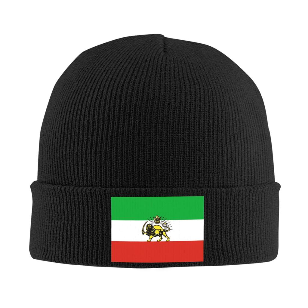 Female Male Flag Of Persia   Beanie Hats  Casual Knit Hat Autumn Winter Hippie Caps Custom Head Wrap Bonnet Hats