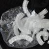 50 Pcs Disposable Shower Cap With Enlarged Thickness Transparent Hair Dye Waterproof And Oil Resistant Shower Head Cover