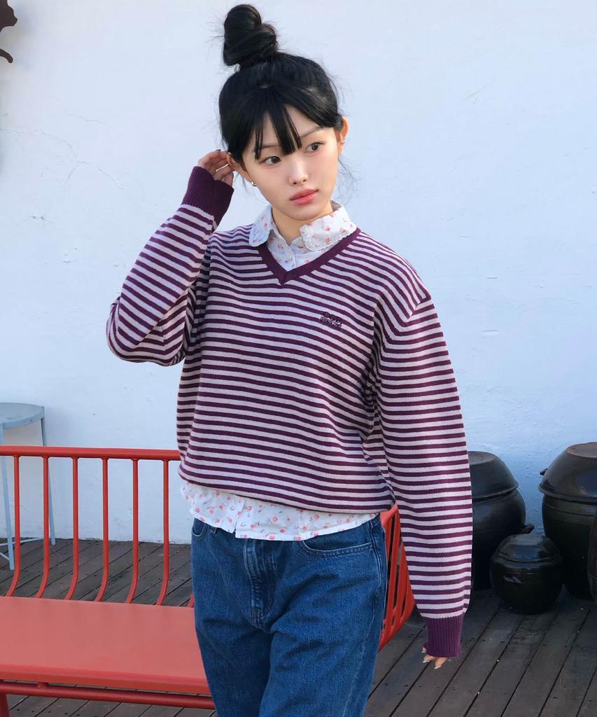 CGP (Women) Striped V-Neck Knit - Purple