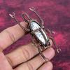 Dendrite Opal Gemstone Pendant Unique Beetle Pendant Copper Wire Wrapped Jewelry