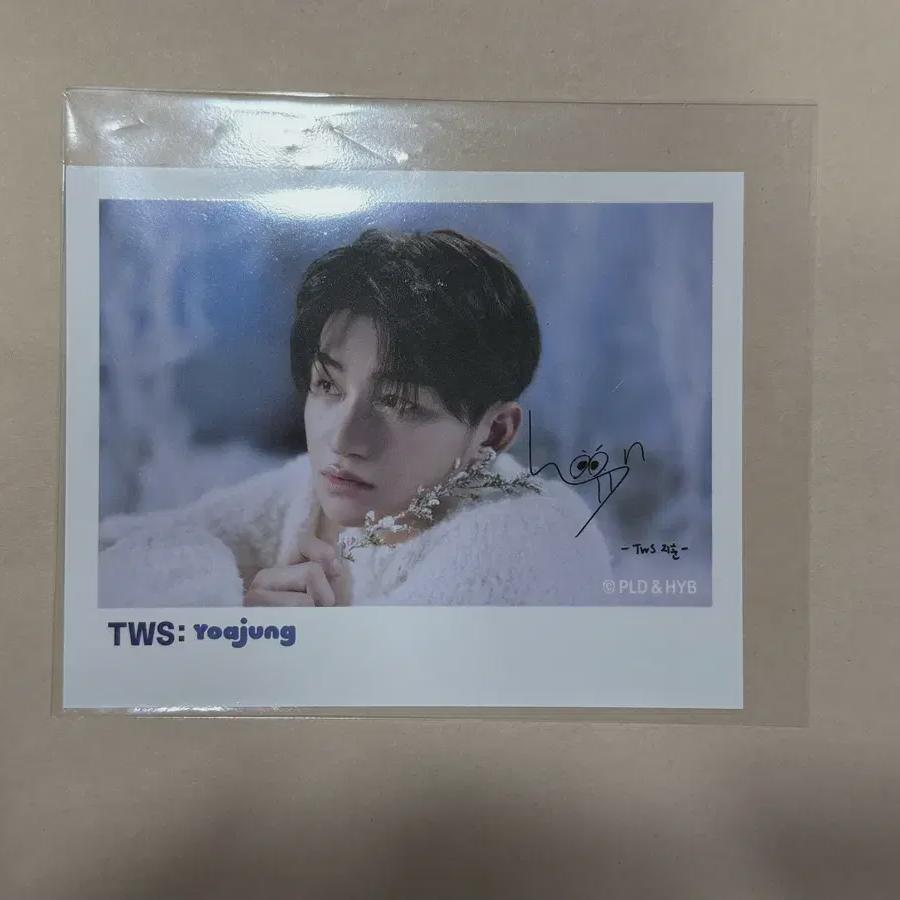 

Tours Tws Yoa-jung Ji Hoon Polar Foca