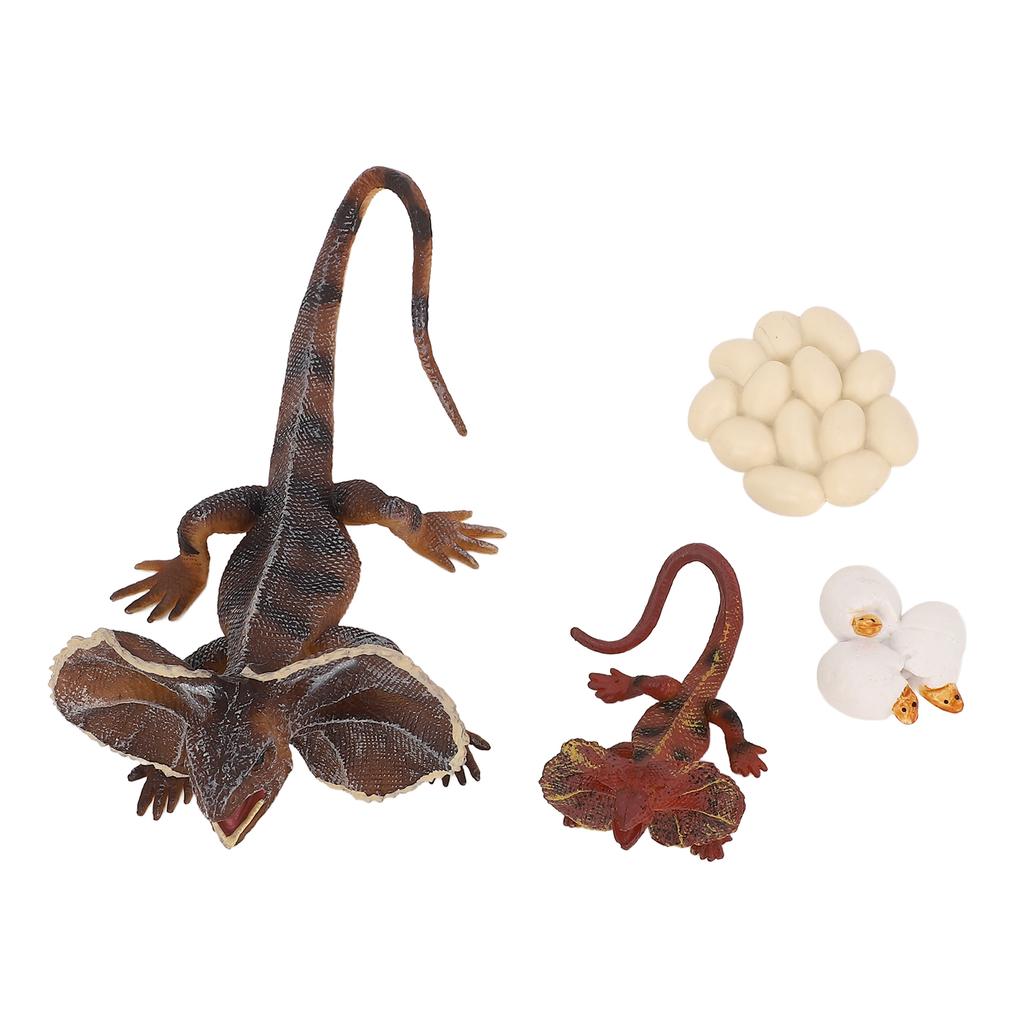 4 Stück Simulations-Tiermodell Simulations-Echsenwachstumsornament Kinder Kognitiver Wachstumszyklus