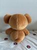 [USED] Peter Pan Michael Teddy Bear Plush Toy