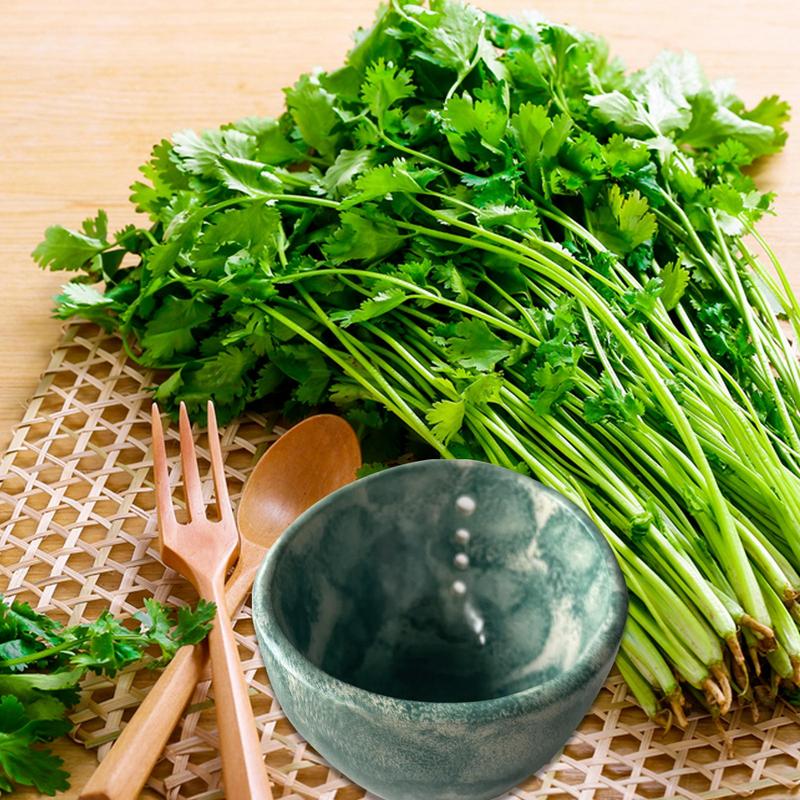 Ceramic Stripper Bowl Leafy Vegetable Stripping Tool Herbal Leafy Greens Leaves Removal Bowl with 4 Holes for Kale and Chard