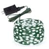 Ultra luminoso 10m -100m 24V LED Fata Lampada da giardino in pelle Luce da prato Stringa esterna Impermeabile Percorso Cortile Decorazione di nozze con spina europea