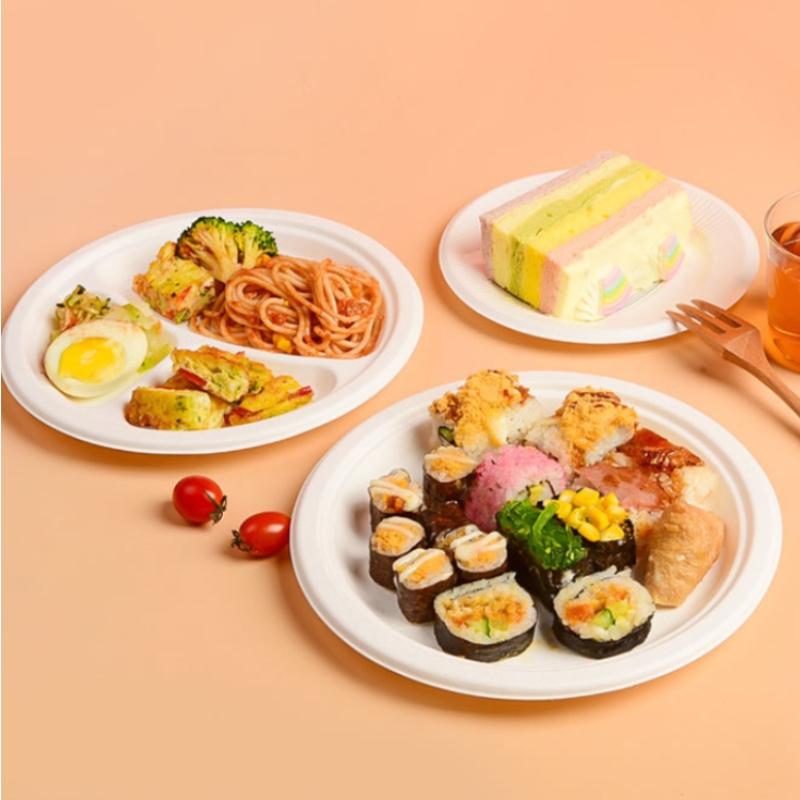 Disposable Paper Plate Halloween Birthday Party Decoration Sugarcane Pulp Disk,Picnic Party Food Plate 6 " 7" 8 " 50Pcs White