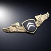 For Citroën C3 C4 C5 Berlingo Picasso Car Front Lid Hood Ornament Emblem Metal Chrome Logo Badge Luxury Auto Accessories HT6
