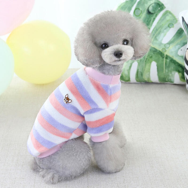 Mini Wappen T-shirt Dog Winter Clothes Indoor Wear S orange