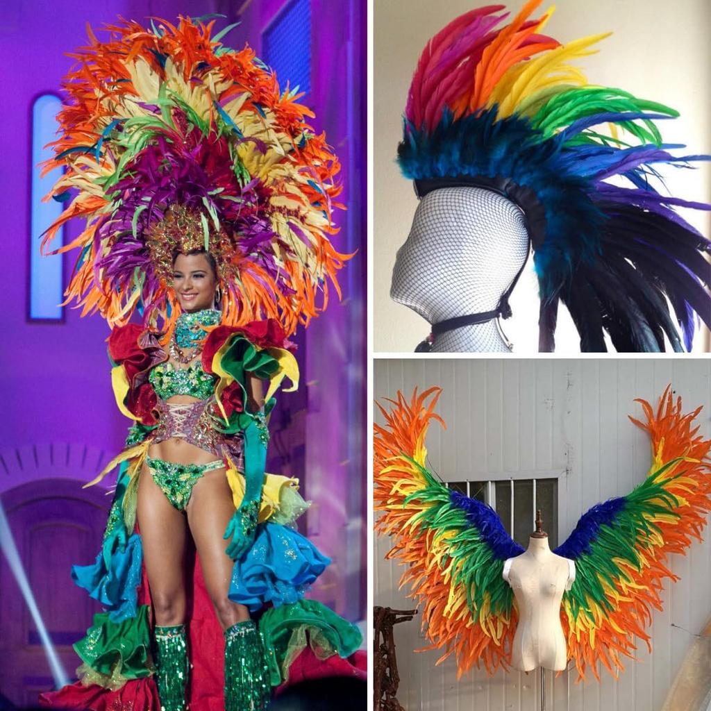 Natural Rooster Tail Feathers for DIY Clothing Accessories, Handmade Props & Tassels