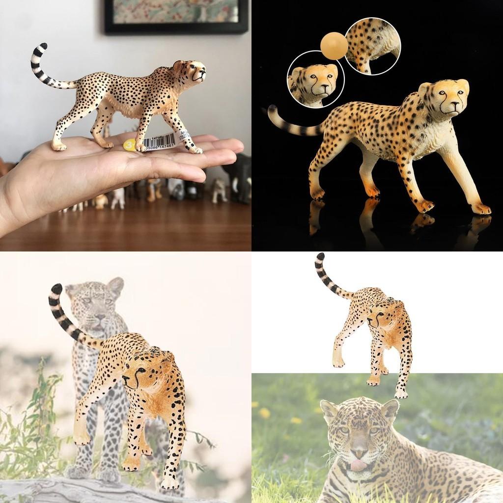 Realistic Wild Animal Model Cheetah Head Up Clouded Leopard African Leopard Indian Leopard Desktop Decor Toy 10*2.5*6.5cm)