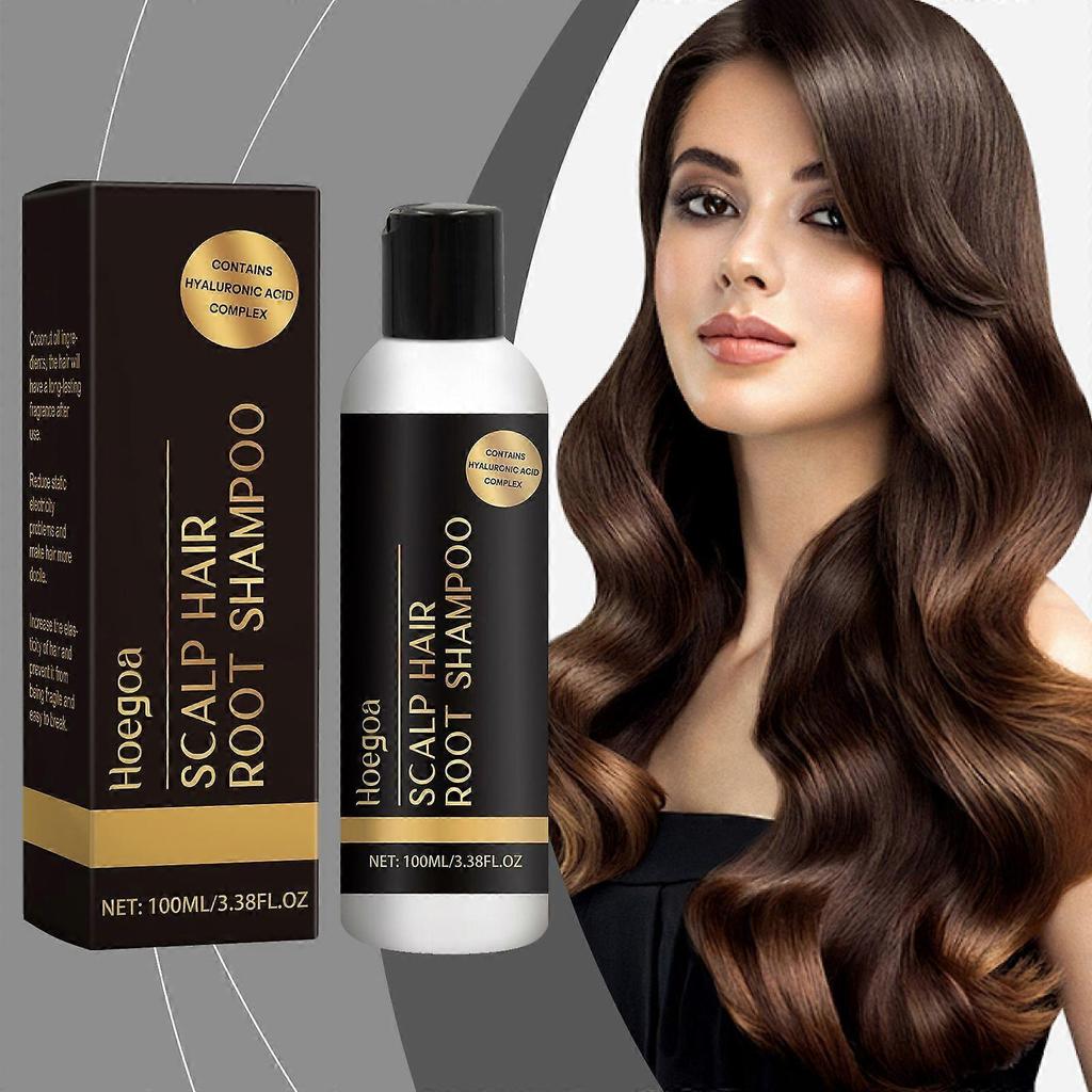 Hoegoa Pflegeshampoo - Spendet der Kopfhaut Feuchtigkeit, Glättet das Haar, Kontrolliert die Talgproduktion, Verleiht Volumen, Langanhaltender Duft, Mildes Shampoo
