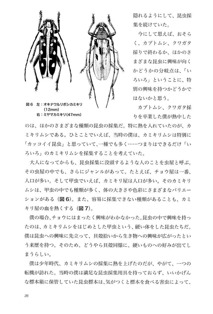 How To Draw Nature Observation Techniques II Insects