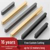 Modern Minimalist Gold Cabinet Handle, Light Luxury I-Shaped Black Drawer Pull