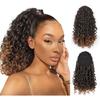 Synthetic Curly Ponytail With Drawstring Elastic Net Cap Women - Heat Resistant Fiber Natural Look Any Face Shape