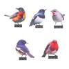 Colorful Metal Bird Enhancements Pack Of 5 For Garden Fence Yard