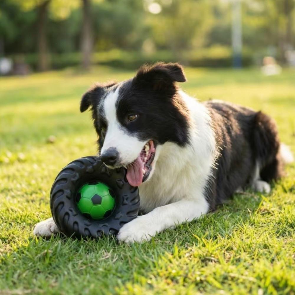 Giocattolo Interattivo Cane Elastico Suono Squeak Ruota Masticabile Cane Giocattoli Creativi per la Masticazione Gioco Indoor