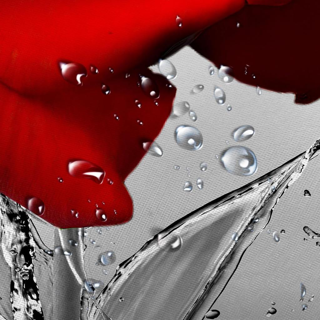 Rose Shower Curtain Romantic Floral Blossom Red Rose Reflection On Water Black And Red Bathroom Decor With Hooks