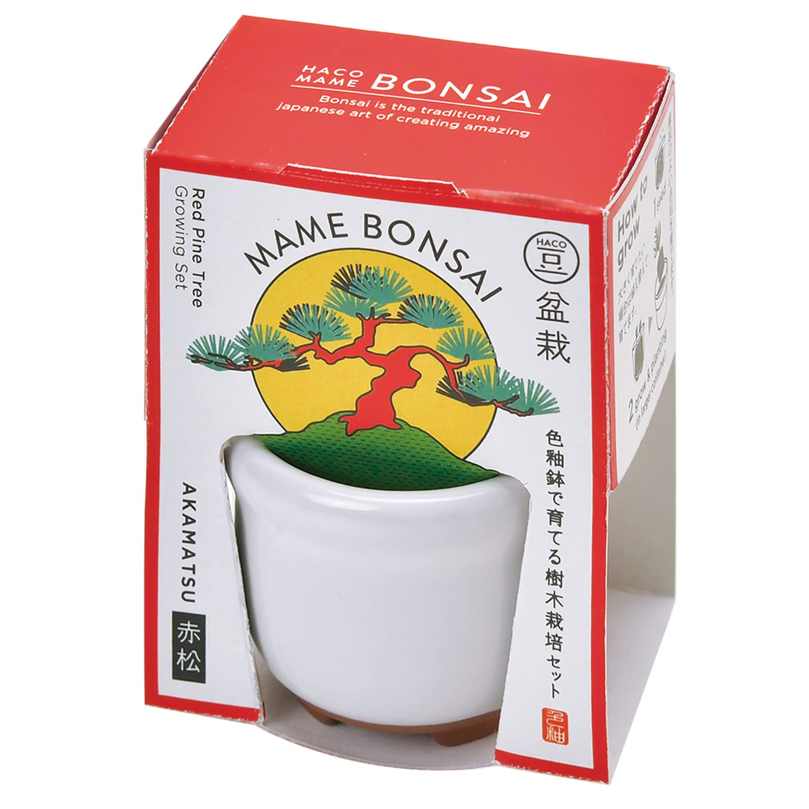 

Seishin Pottery Mini Bonsai Red Pine for Independent Growing Pot Diameter Mini HACO Perfect for or Birthdays Spring/Autumn Palm-Sized Kit, белый