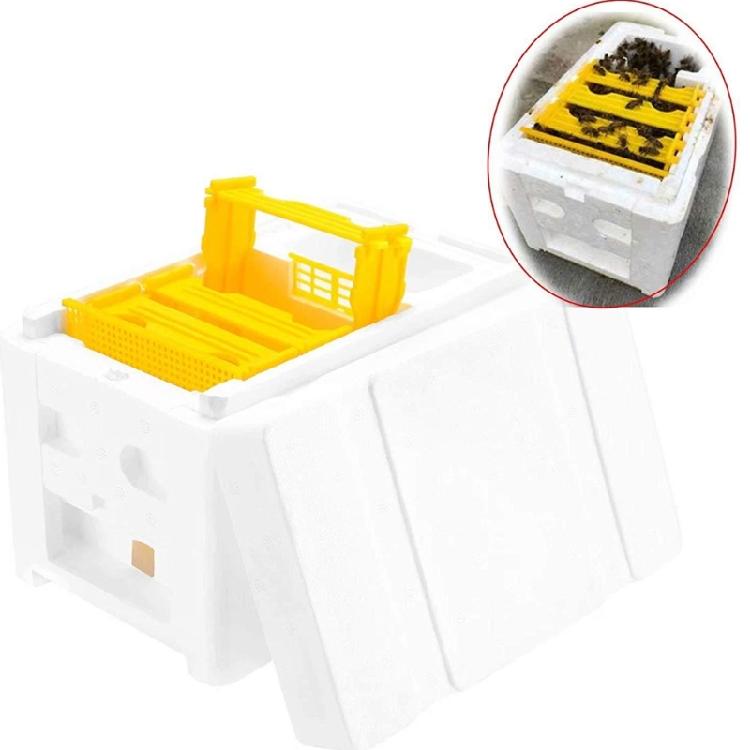 Foam Bees Box Versatile Bees Pollination Box Foam Bees Hive Queen Bees Rearing Bees hives Beekeeper Supplies Copulation