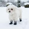 4 Pieces/set Anti Slip Winter Dog Boots Warm Dog Cotton Shoes  Indoor and Outdoor