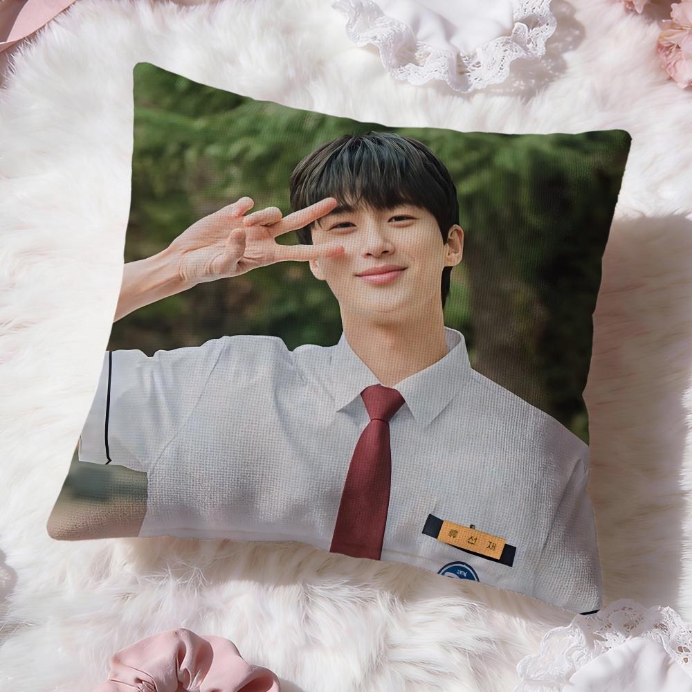 Copricuscino Korean Byeon Wooseok Comfort Premium Federa Reversibile - Design Due in Uno per Qualsiasi Stanza e Interno Auto