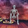 40cm Plastic Human Skeleton Model with Movable Joints for Halloween Decoration and Teaching Display