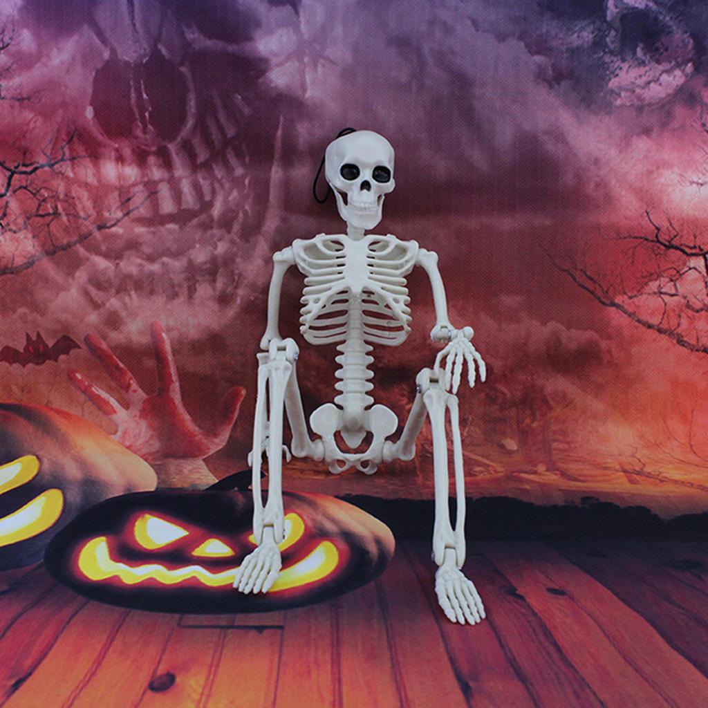 40cm Plastic Human Skeleton Model with Movable Joints for Halloween Decoration and Teaching Display