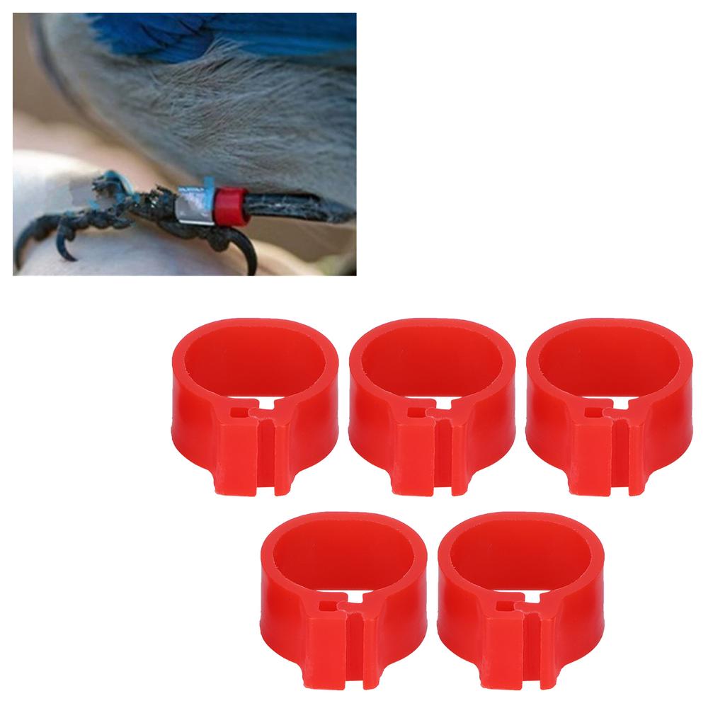 200 Stück Rote Geflügelbeinclip Ring Tauben Identifizieren Kein Wort Markierungsring Trainingswerkzeug 10mm Rot Nein