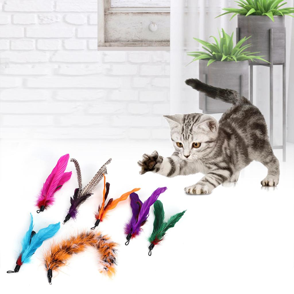 7 pcs Pet Cat Teaser Dangler Toy Rod Stick Feather Replacement Head Cats Supplies