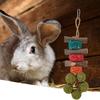 Hamster Chew Toy Rabbits Bunny Chew Toys Molar Rod Teeth Cleaning Healthy Grass Ball Hamster Toy Pet აქსესუარები