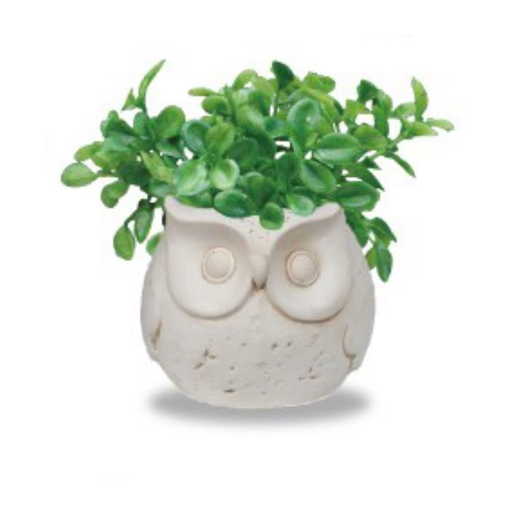 

Keiai Japan Owl Pot, Pripet, 8 x 10cm, 166672