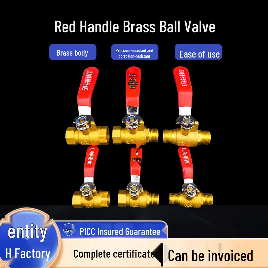 

Red Handle Brass Ball Valve with Dual External Threads and Internal/External Switch - 2 or 3 Points DN8 Internal and External Thread
