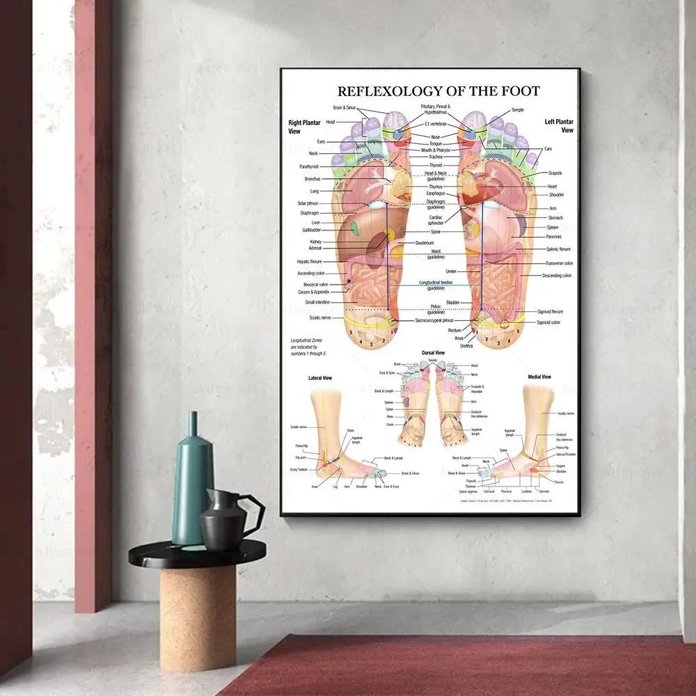 Scandinavian Simple Wall Art Acupuncture Points Diagram Anatomy Foot Reflexology Poster Print Home Bedroom Living Room Decor No Frame