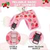 Cat Harness with Leash Escape Proof - Fashionable Mesh Cat Dog Walking Harness