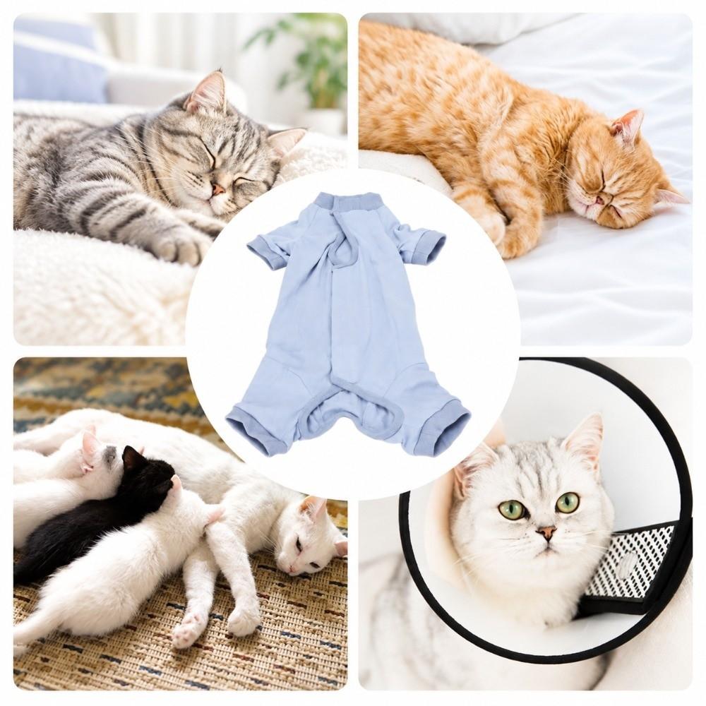 Easy to Move Pet Surgery Suit Breathable Surgical Onesie for Pet Abdominal Wounds Or Skin Diseases