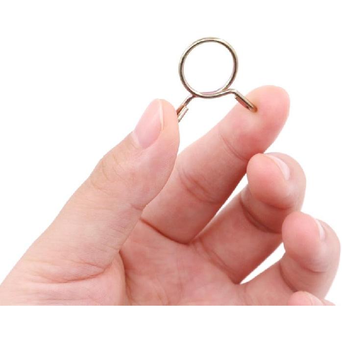 Hilitchi 250-Pcs [10 Size] Fuel Line Hose Tubing Spring Clips Clamps Assortment Kit for Motorcycle Scooter ATV - [5~14mm]