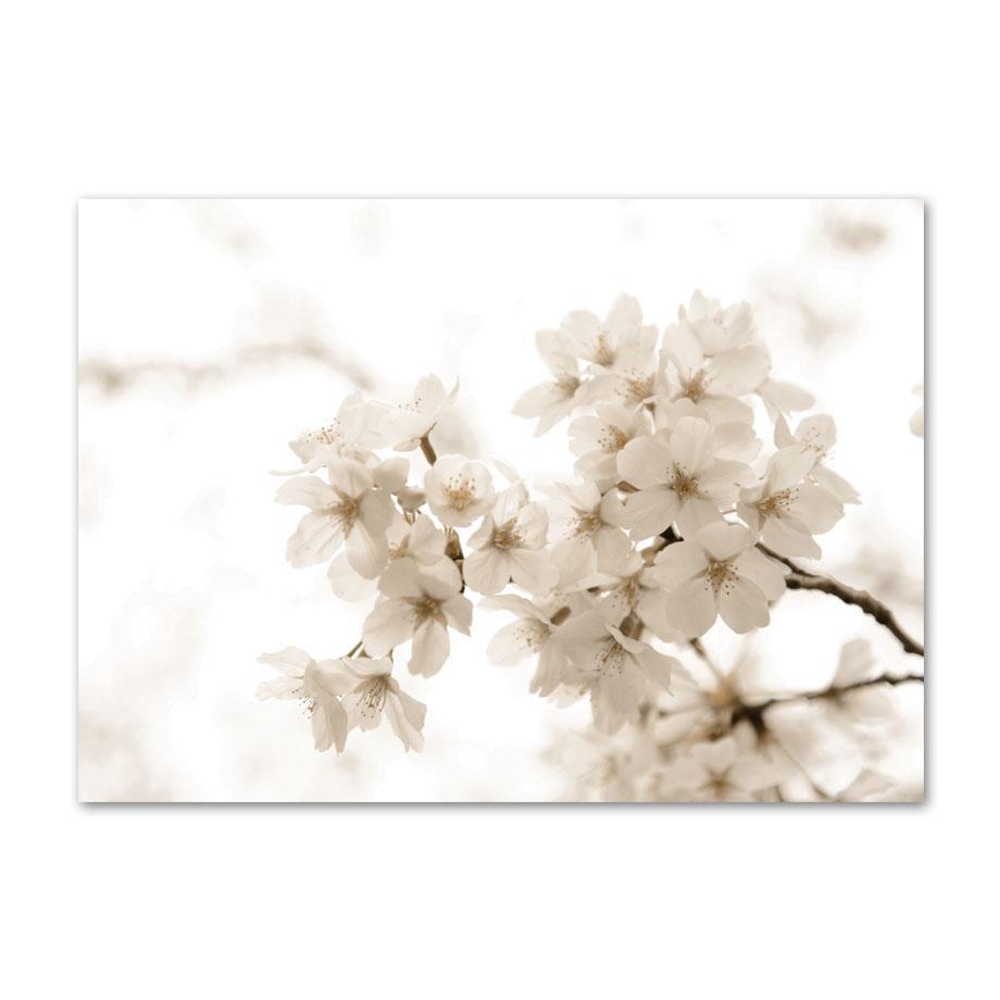 

Бежевый Пейзаж Плакат Одуванчик Кроличий Хвост Тростниковый Цветок Лист Стена Искусства Принт Холст Картины Настенные Панно Гостиная Домашний Декор 20x30cm