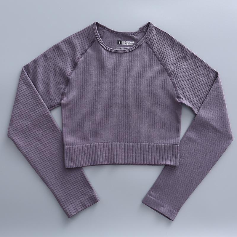 Women's Seamless Long Sleeve Yoga & Fitness Set