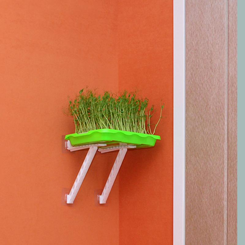 Sprout Dish Growing Pot Hydroponic Vegetable Beans Seeding Pot Household Plants Germination Tray Nursery With Lid Kit