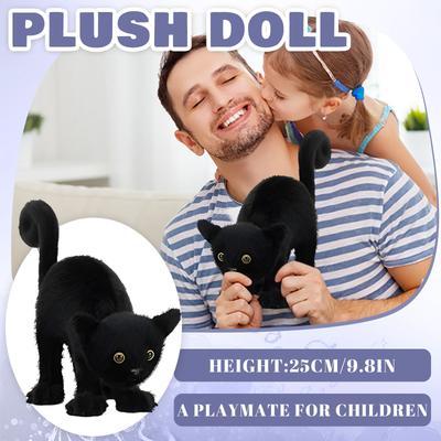 Plush Toys, Cute And Perfect Birthday Gifts For Friends And Classmates, Graduation Gifts