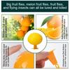 3/5Pcs Sticky Insects Trap Ball Luminous Insect Kiling Lamp Fruit Fly Balls  Garden