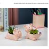 Cute Pig Resin Flower Pot Cartoon Animal Succulent Flower Pot Desktop Plants Pot Cactus Potted Home Decoration Ornaments Gift