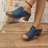 Slippers Women 2025 Summer New Plus Size Round Toe Women's Sandals Outdoor Rome Ladies Shoes Buckle Chunky Heel Slipper